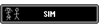 SIM